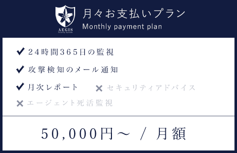 Monthly payment plan